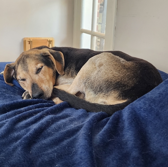 Meet your Posher, Melanie - Picture 3 of 6